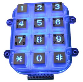 Die nhỏ đúc kim loại Bàn phím Dot Matrix Với 12 Keys, Blacklight